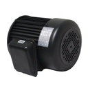 MOTOR 110V.1PH UE-712G