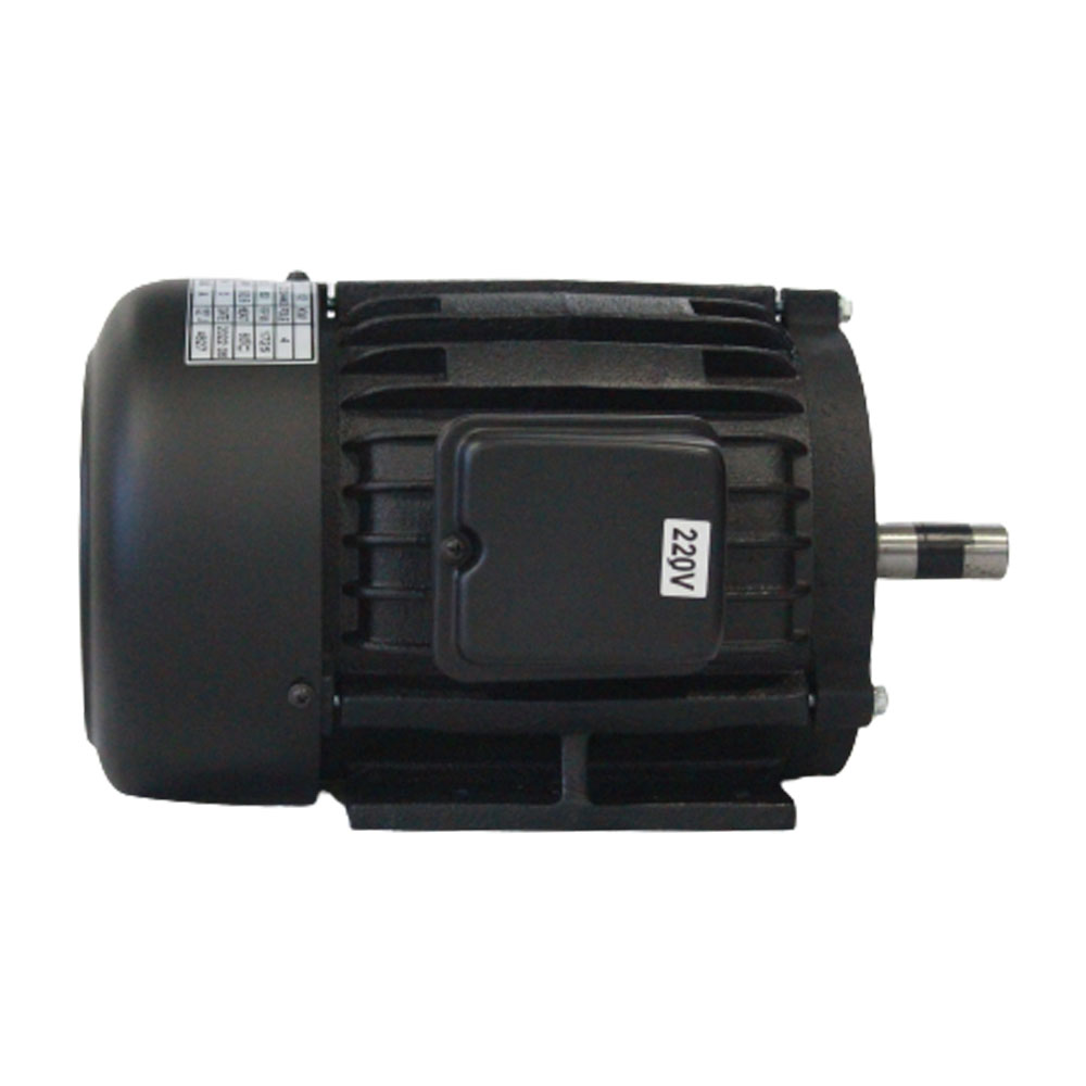 MOTOR 220V.3PH UE-916V