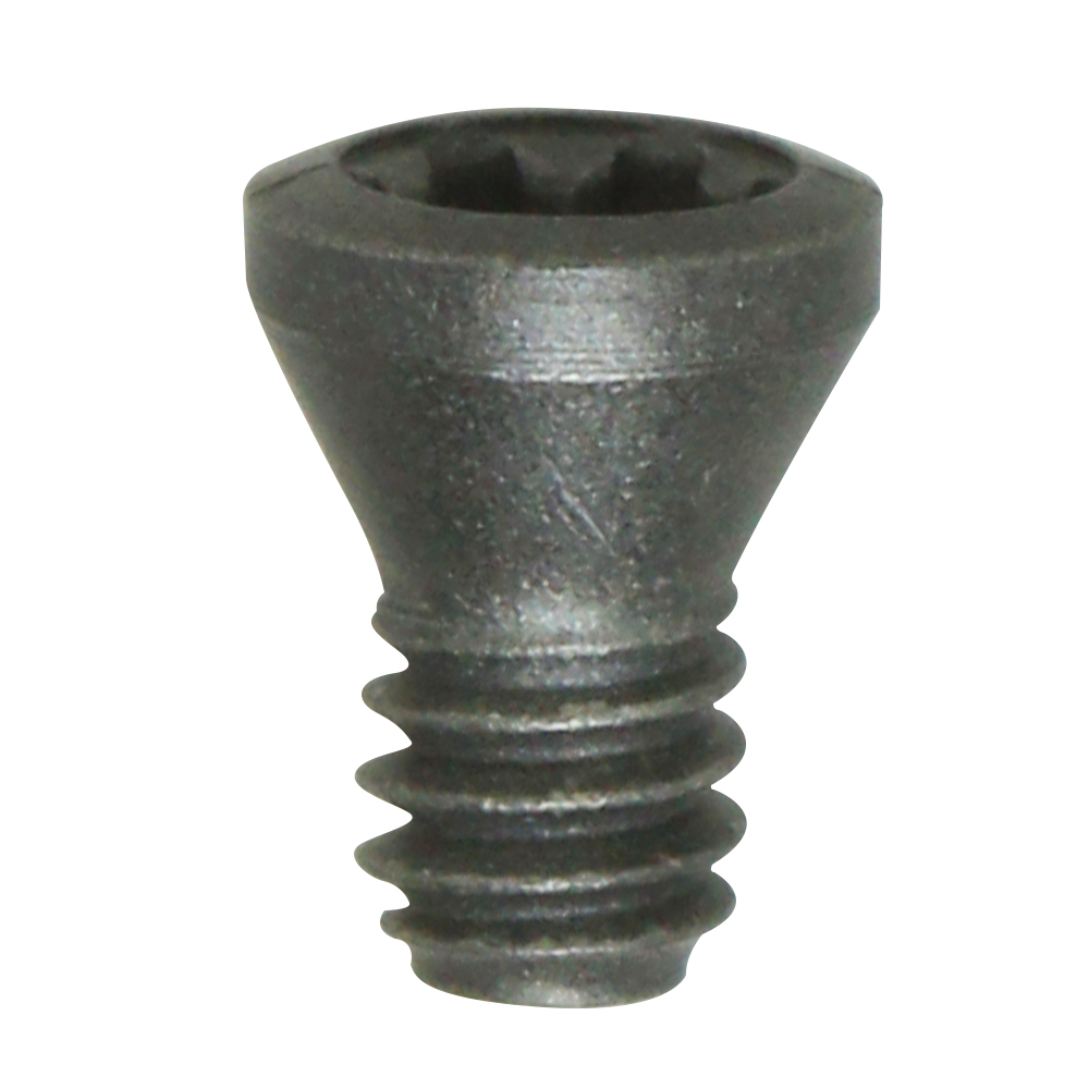 TORNILLO TORX PLUS CLASS 4H