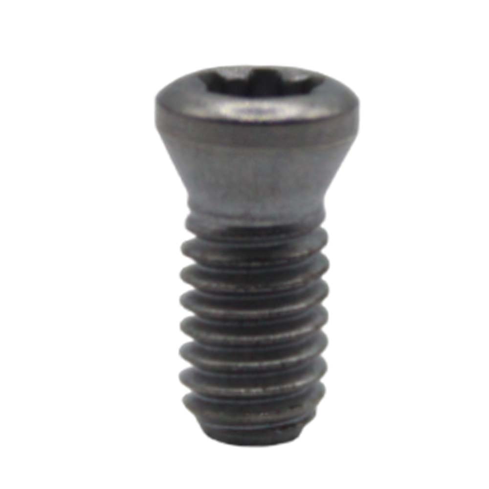 TORNILLO TORX 2-2.5 4H