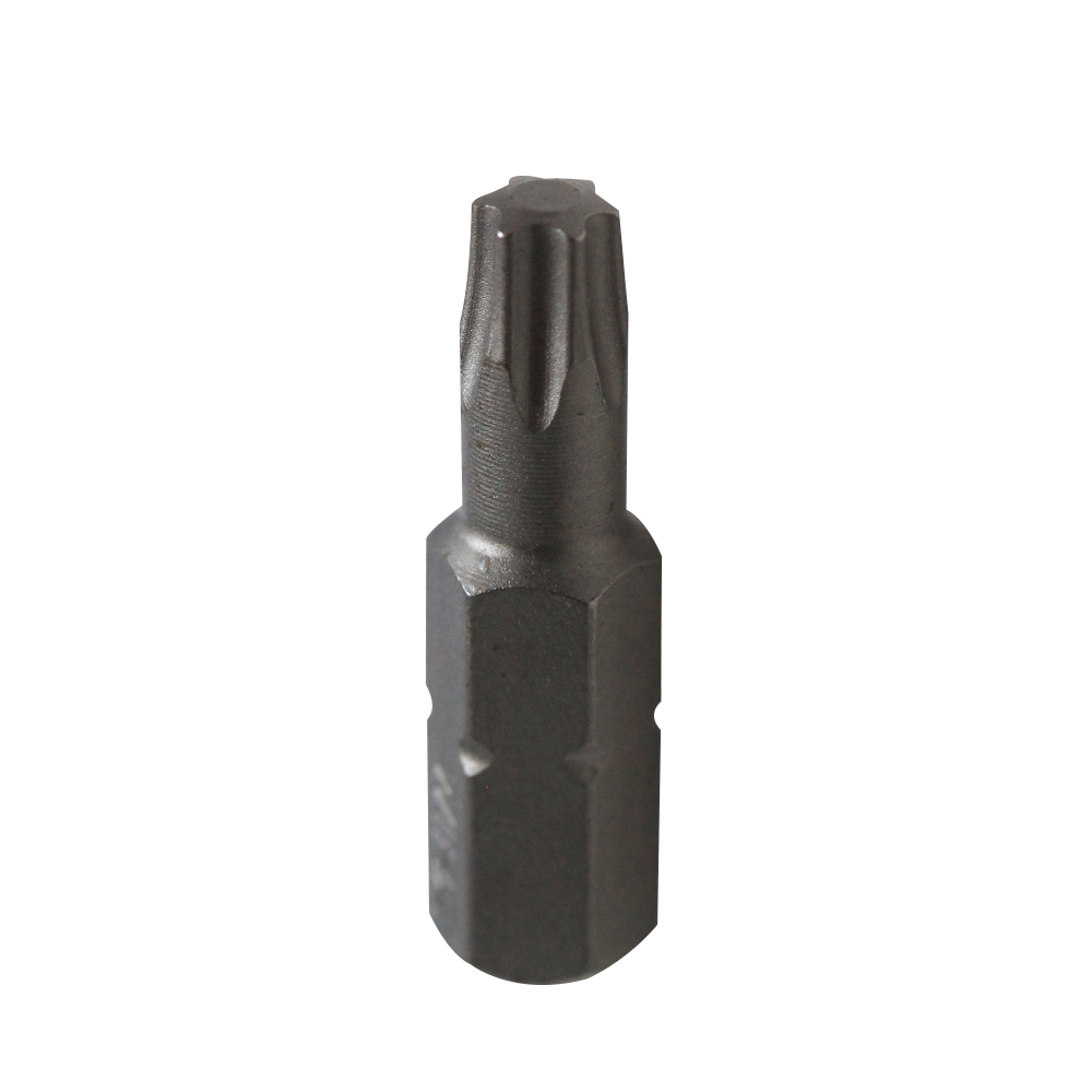 PUNTA TORX T25X25MM