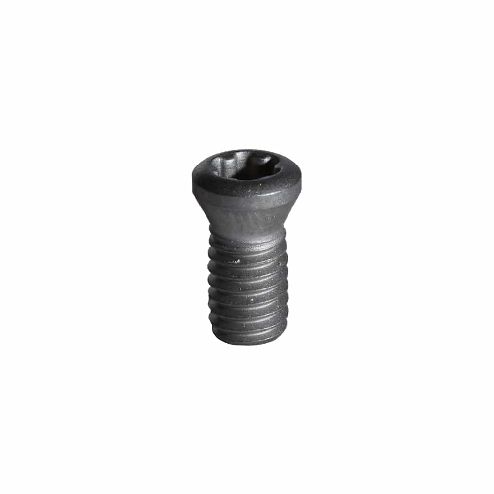 TORNILLO TORX 2-2.5 4H