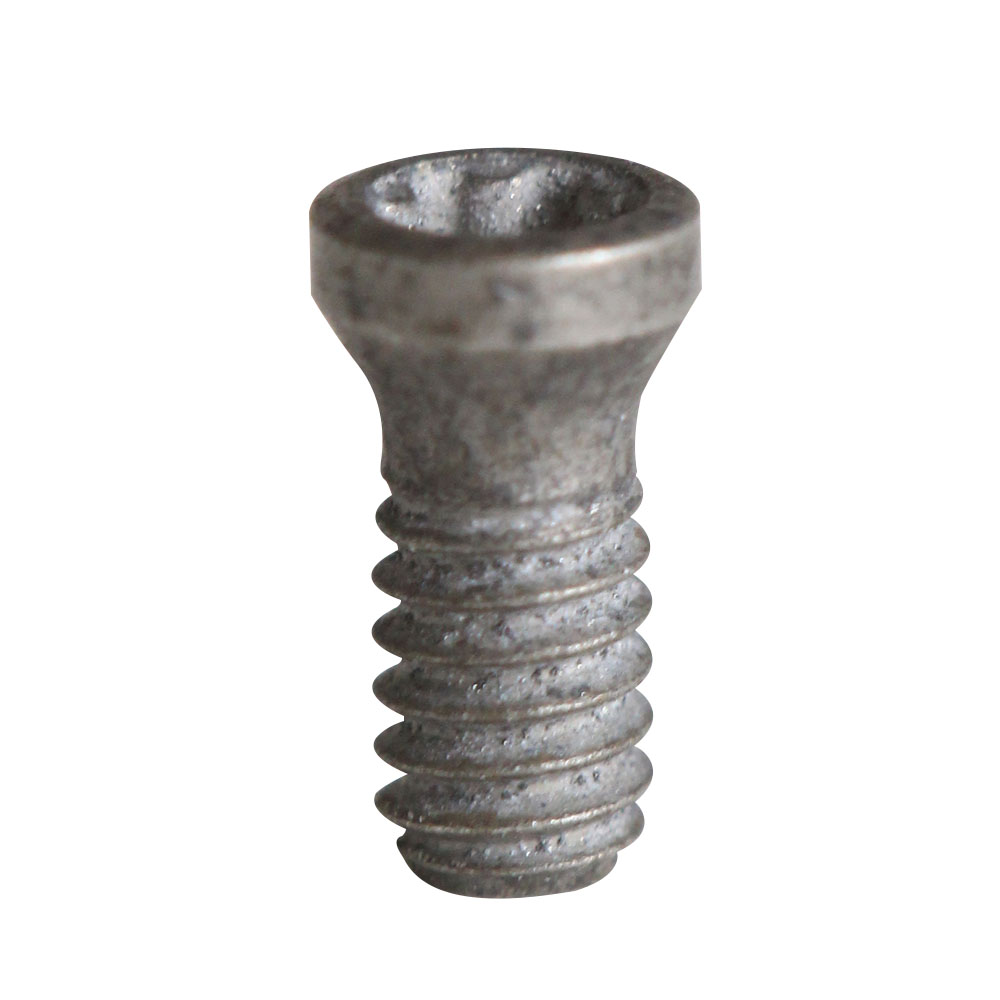 TORNILLO C02052-T06P