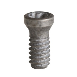 [SEC74718-02805322] TORNILLO C02052-T06P